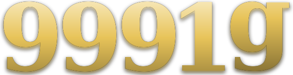 9991g logo